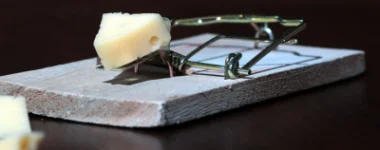 Deratyzacja